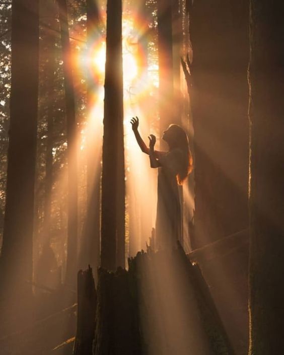 Блот и принцип взаимного обмена